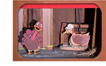 canards